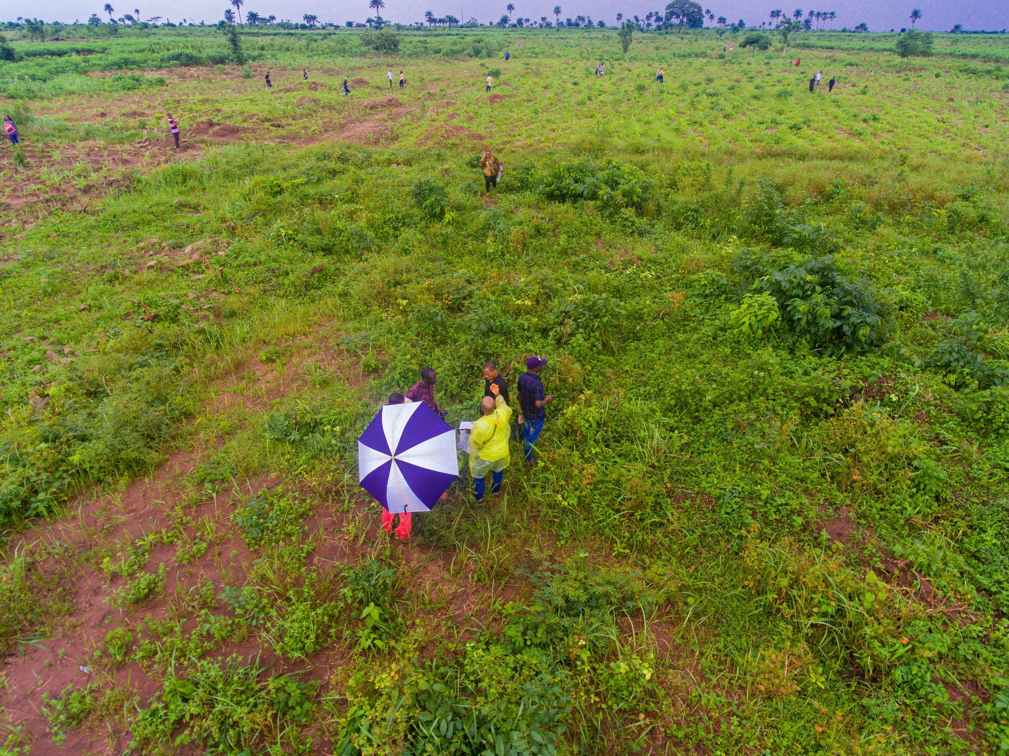 Commercial Land - Maitama